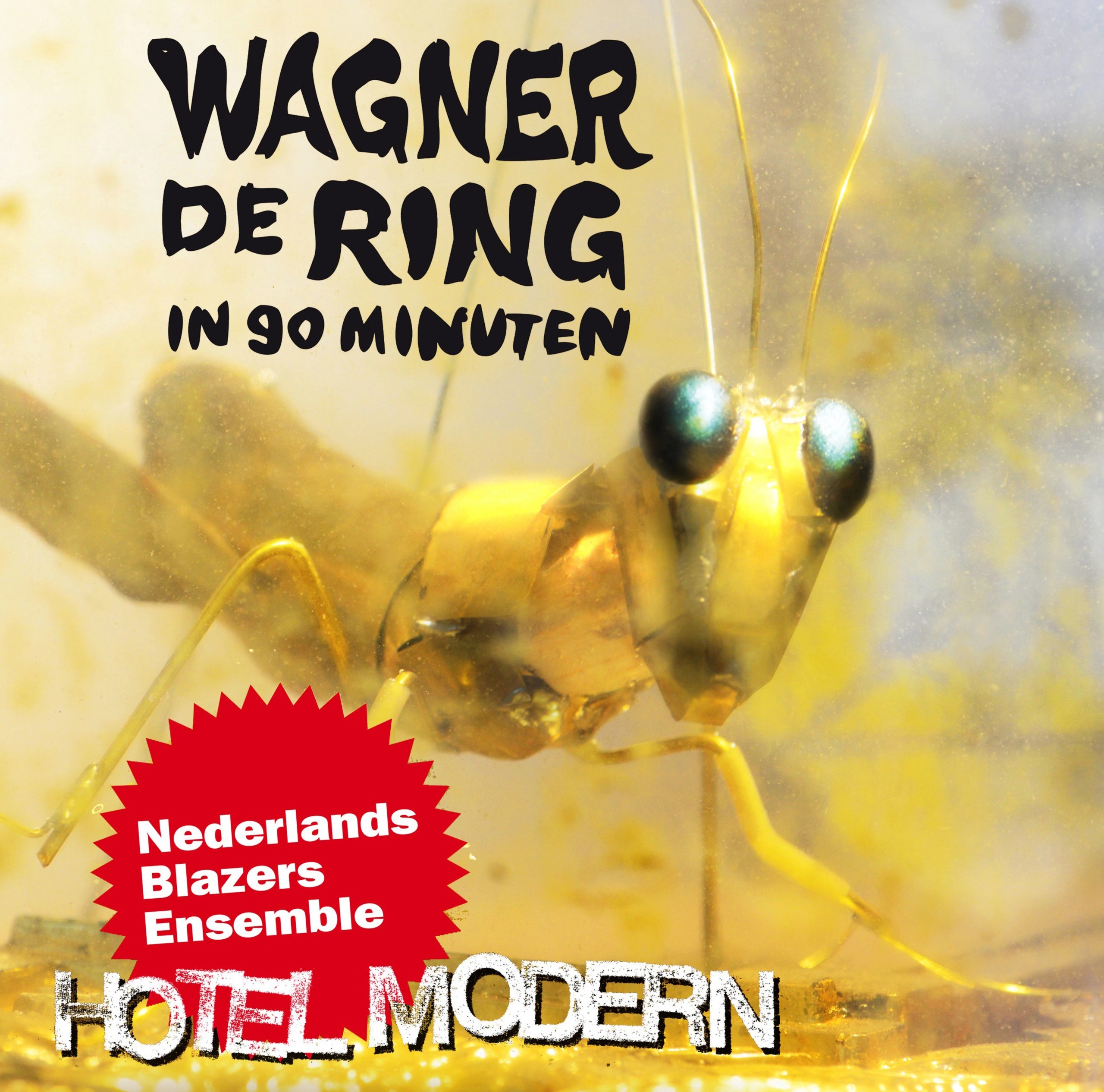 De Ring