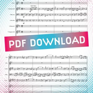 Sinfonia from Weihnachtsoratorium - J.S. Bach