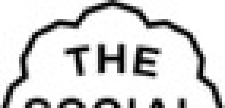Social Hub logo klein (1 van 1)