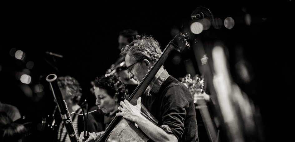 Wilmar de Visser